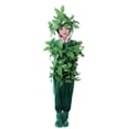 thumbnail image 2 of Disfraces de cosplay para niños, disfraces de baile, árboles verdes, ropa de actuación, disfraz de Halloween para niños, plantas, cosplay, 2 of 5