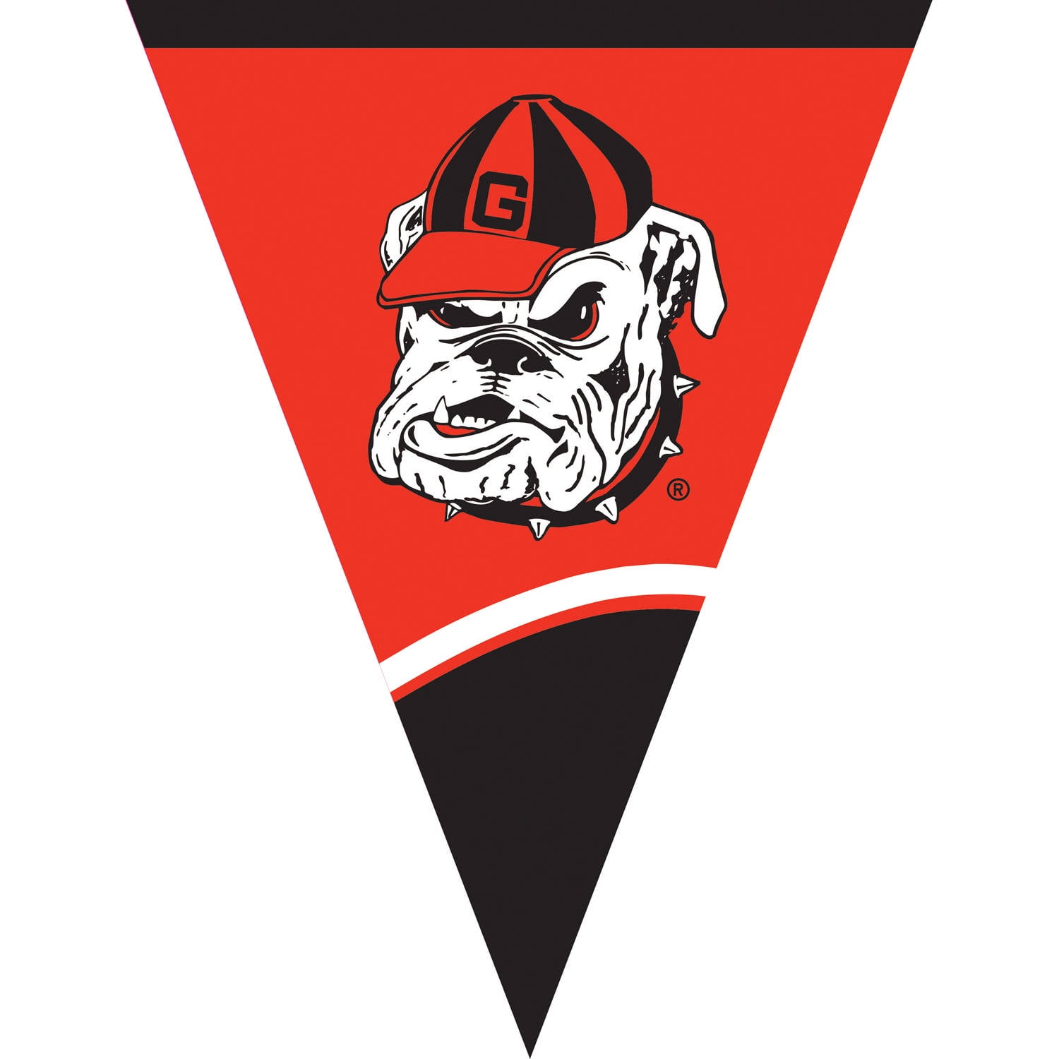 Creative Converting University of Flag Banner