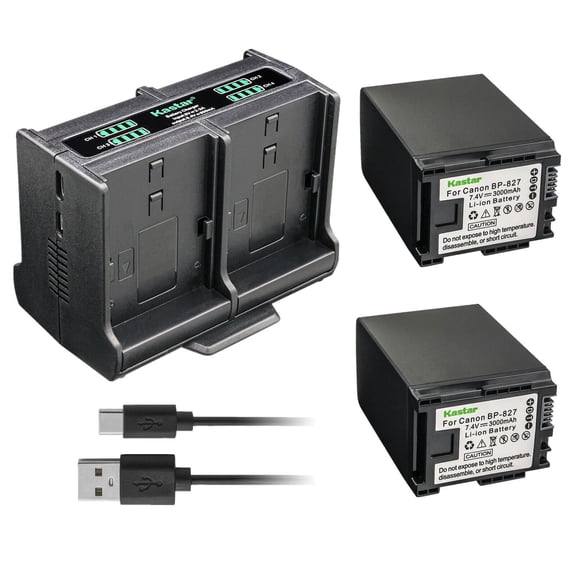 Kastar 2-Pack Battery and Quadruple Charger Compatible with Canon VIXIA HG21, VIXIA HF G10 HFG10, VIXIA HF G20 HFG20, VIXIA HF G30 HFG30, VIXIA HF M30 HFM30, VIXIA HF M31 HFM31, HF M32 HFM32 Camera