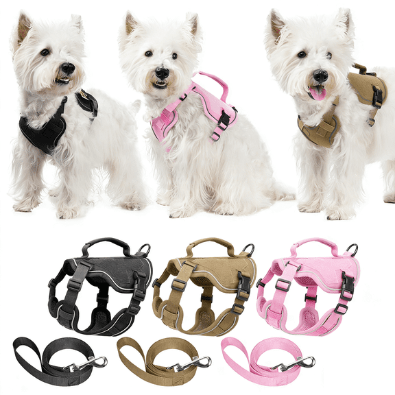 Dog Harness and Leash Set, Reflective Adjustable Puppy Vest for Small Medium Dogs, Cats, No-Pull Design