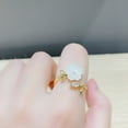 thumbnail image 4 of Qarigey Anillo abierto para mujer, flor, cristal, fiesta, trabajo, escuela, fecha, viaje, vacaciones, joyería personalizada sencilla para mujer Ropa, zapatos y accesorios Miscelánea Qarigey AP014795-00, 4 of 6