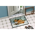 thumbnail image 4 of Carolines Treasures ASA2184JMAT Winter Fox Indoor or Outdoor Mat- 24 x 36, 4 of 4