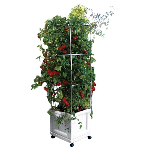 City Picker's Trellis Tower - White