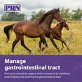 thumbnail image 3 of PRN Pharmacal Digestive Support Supplement Suspension for Animal, 1 Gallon, 3 of 7