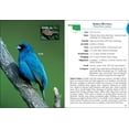 Bird Identification Guides Birds of Oklahoma Field Guide (Paperback
