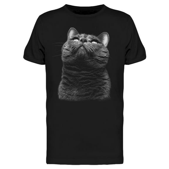Adorable Gray Cat Looking Up T-Shirt Men -Image by Shutterstock, Male Medium