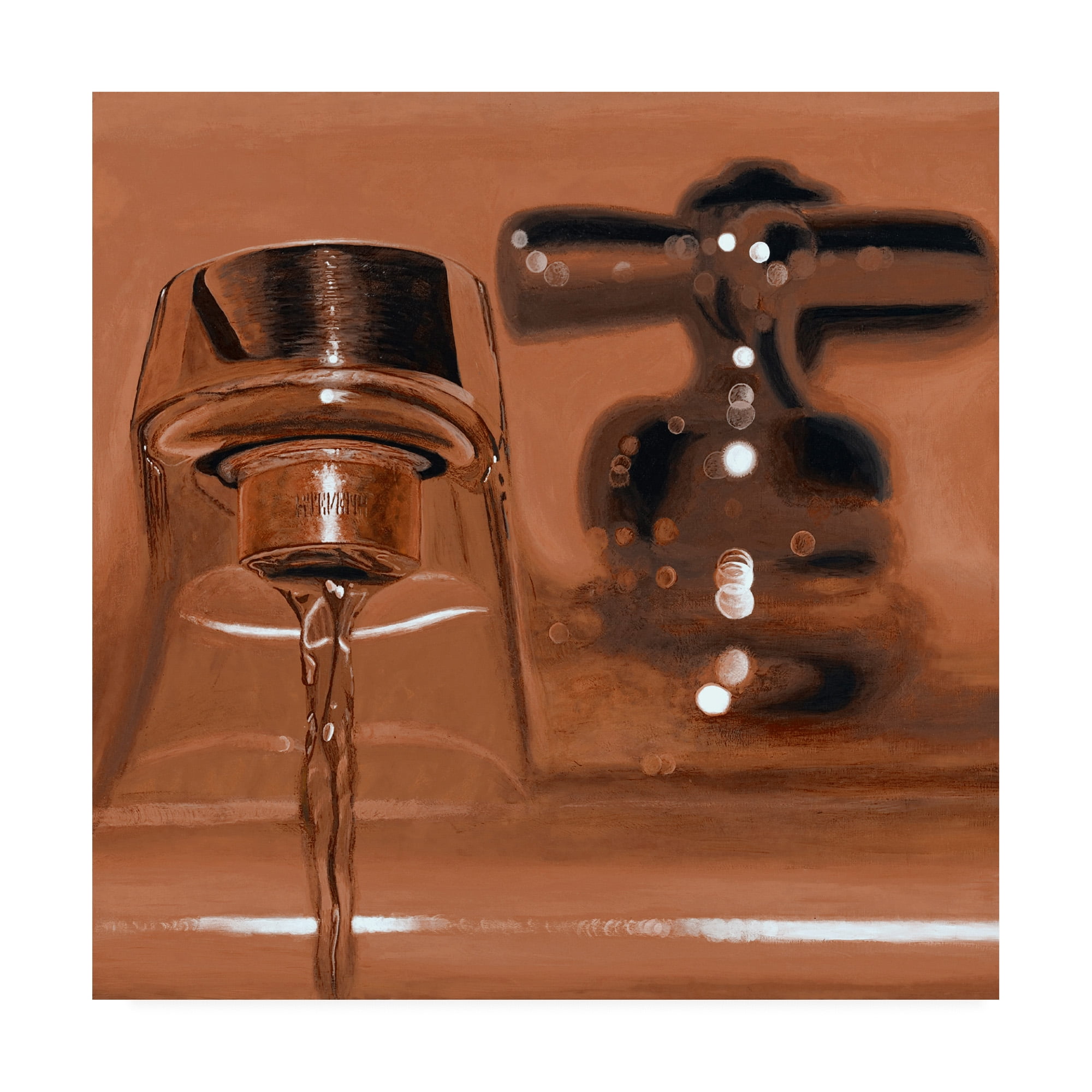 Trademark Fine Art 'Rust Faucet' Canvas Art by Roderick Stevens