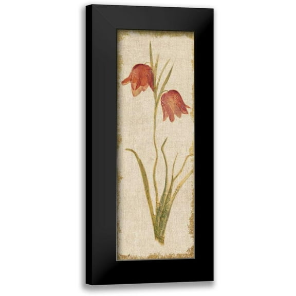 Blum, Cheri 7x14 Black Modern Framed Museum Art Print Titled - Red Tulip Panel on White Vintage