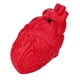 thumbnail image 3 of Juguete Novedoso onlyliua para Aliviar el Estrés Forma de Corazón y Forma de órgano, 3 of 6