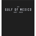 thumbnail image 2 of RIP Gulf of Mexico 1607-2025 Youth Black Crew Neck Short Sleeve Tee-Large, 2 of 4
