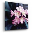 thumbnail image 2 of Epic Art 'Pink Blossom 2' by Photoinc Studio, Acrylic Glass Wall Art, 24"x24", 2 of 8