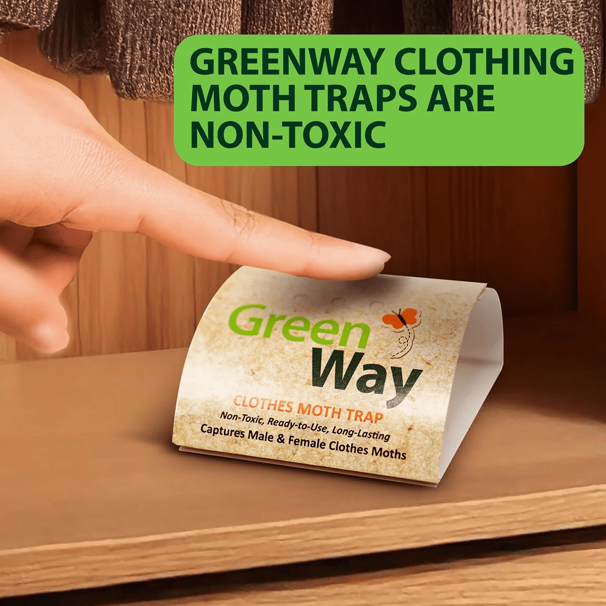 Clothes Moth Trap - 1 Pack (2 Traps & 2 Lures) by GreenWay