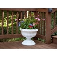 thumbnail image 2 of Southern Patio Dynamic Design Pot de Plante d'Extérieur en Résine de 18 Pouces en Forme d'Urne Grecque, 2 of 6