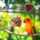 thumbnail image 3 of 10 Uds. Juguetes para masticar loros, juguetes colgantes para buscar comida, cono de pino rasgado para loros, 3 of 8