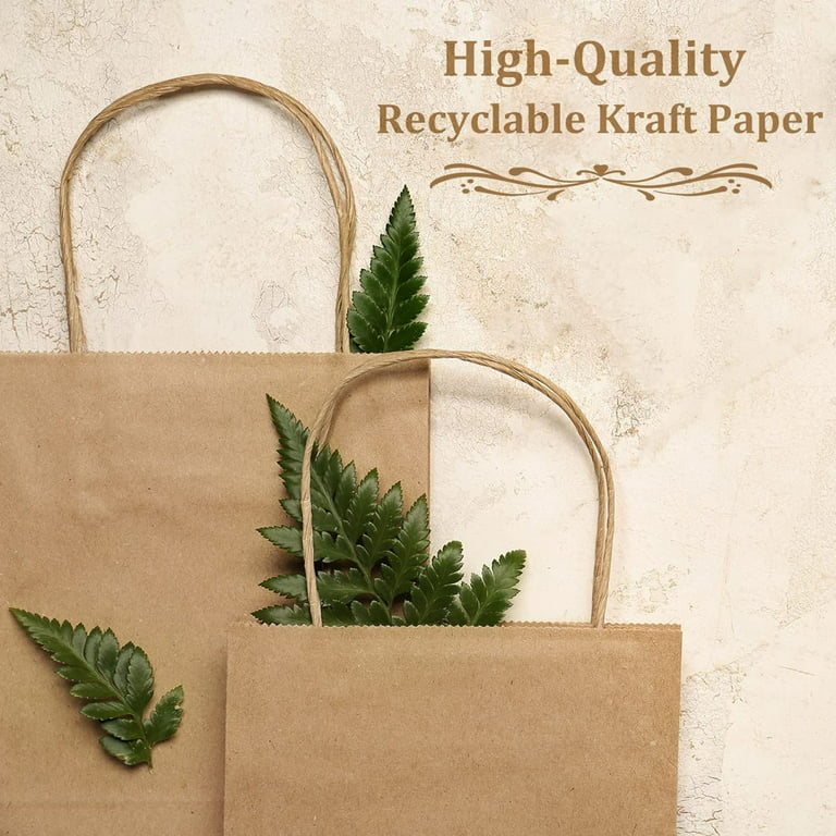 DIFEN 10x5x13 Inches 100pcs Brown Kraft Brown Paper Bags with Handle, Shopping Bag, Merchandise Bag, Party Bag