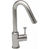 Single-Handle Kitchen Faucet in Polished Chrome Finish