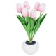 thumbnail image 2 of Luz De Noche De Tulipán Tulip Night Light Lighting Ornaments 300mAh Recargable LED Flower Lamp (Rosa) Likrtyny Para estrenar, 2 of 9