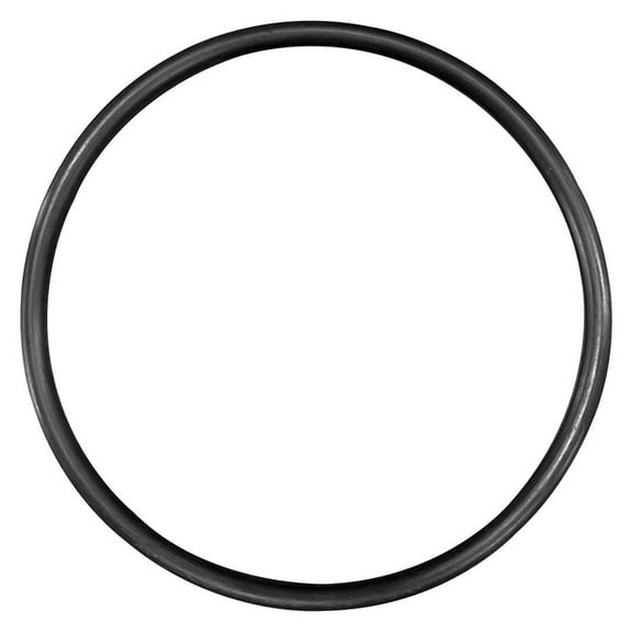 American (39000400) Power Pump Lid Replacement O-Ring || O-302