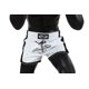 thumbnail image 4 of Pantalones cortos de boxeo para muay thai Fairtex BS1707, blancos, XL, 4 of 9