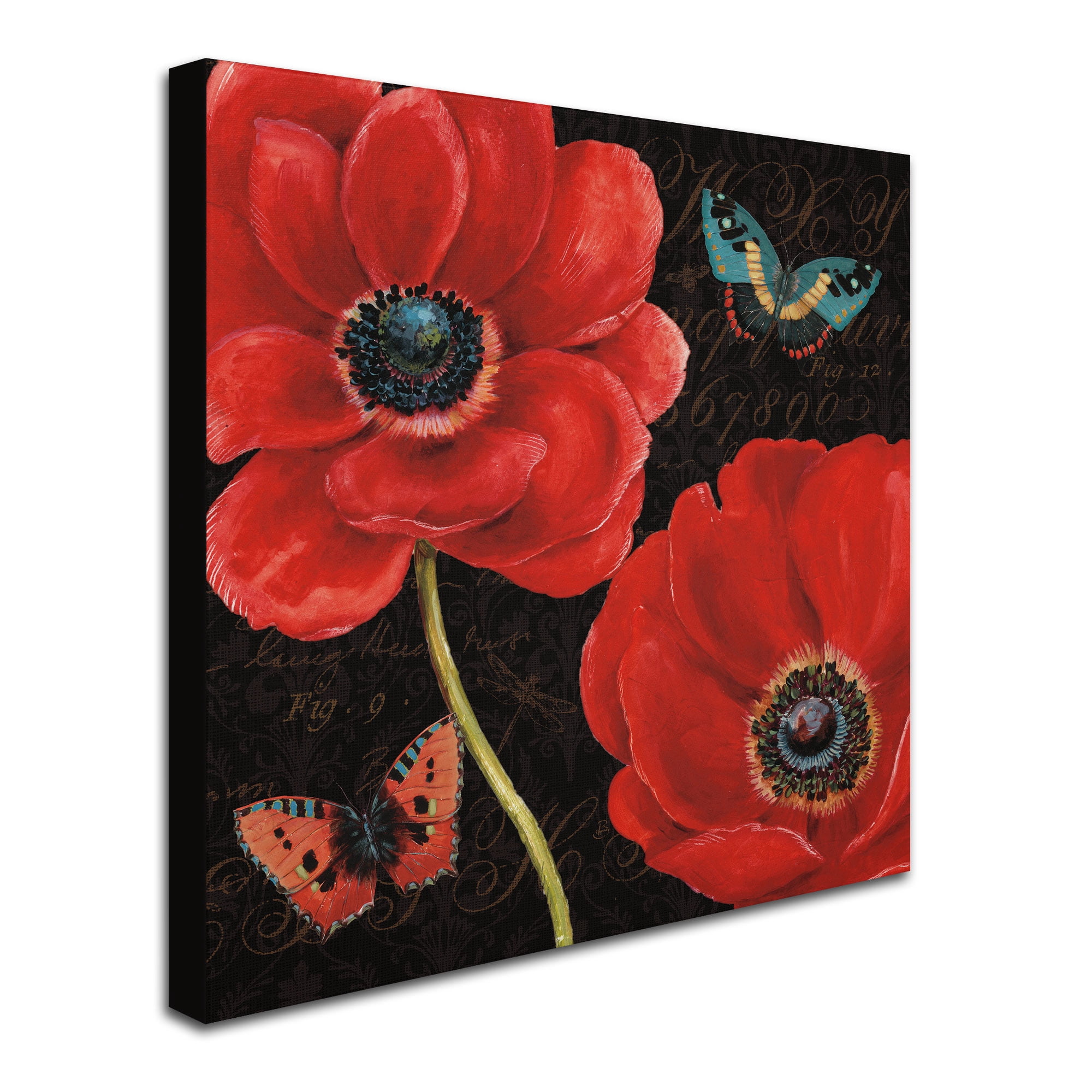 Trademark Fine Art "Petals and Wings II" Canvas Art by Daphne Brissonnet