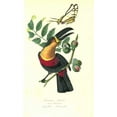 thumbnail image 2 of Anonymous, 1842 21x32 White Modern Wood Framed Museum Art Print Titled - Toucan on Nutmeg Tree, 2 of 4