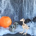 thumbnail image 6 of 2 Pcs Halloween Scary Bird Skeleton Decor Horror Simulation Animal Ornament for Party Bar Haunted House Decoration Realistic Plastic Skeleton Prop, 6 of 6