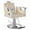 Beige-Sliver, variant on KIGOTY Salon Chair for Hair Stylist, Reclining Salon Chair, Professional Styling Salon Chairs with Heavy Duty Hydraulic Pump, 440LBS,All Black