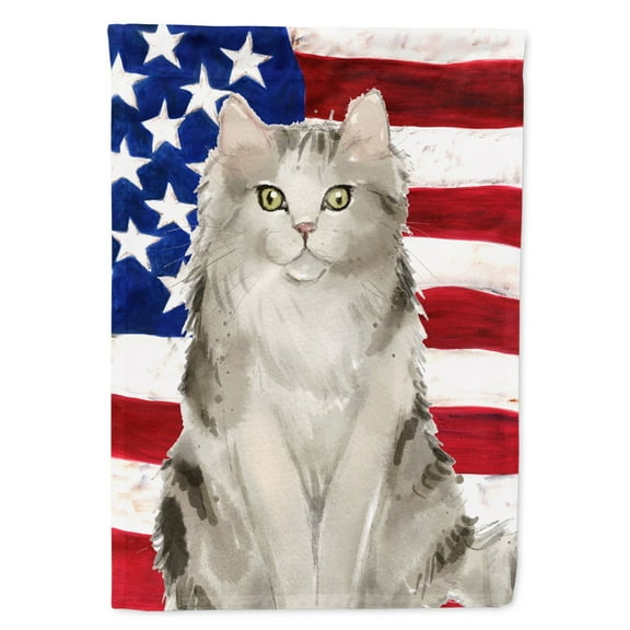 Carolines Treasures CK3036CHF Ragamuffin American Flag Flag Canvas House Size  Large multicolor