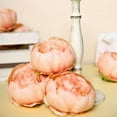 thumbnail image 2 of BalsaCircle 10 Peach 3" Artificial Faux Silk Peony Flower Heads Wedding Party Catering Decorations, 2 of 8