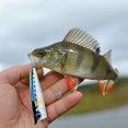 thumbnail image 4 of Señuelo de pesca Wdftyju Topwater Popper 90 mm 15 g negro y amarillo, 4 of 7