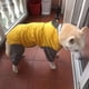 thumbnail image 2 of Zhuge Chubasquero impermeable para perros, ropa ligera para la lluvia para mascotas con capucha tipo poncho, XL, A01, 2 of 2