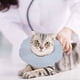 thumbnail image 3 of Protector de collar suave para perros: protector ajustable antimordeduras, anillo de cuello de gato con huella de garra de tamaño mediano, 3 of 8