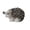 D, variant on Hedgehog Cake Topper Figurine, Mini Resin Animal for Fairy Garden