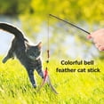 thumbnail image 1 of Juguete divertido de plumas de gato, varitas coloridas, teaser de plumas para juegos de ejercicio de gatos en interiores Wdftyju Libre de BPA, 1 of 3