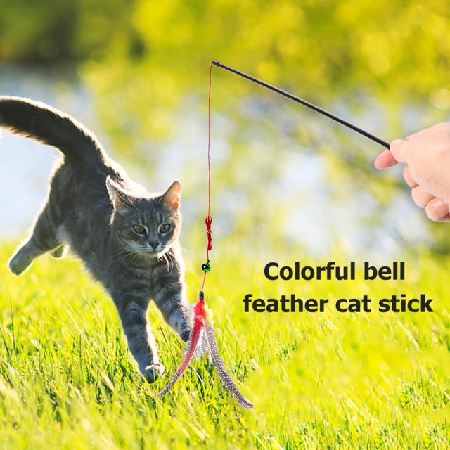 Juguete divertido de plumas de gato, varitas coloridas, teaser de plumas para juegos de ejercicio de gatos en interiores Wdftyju Libre de BPA