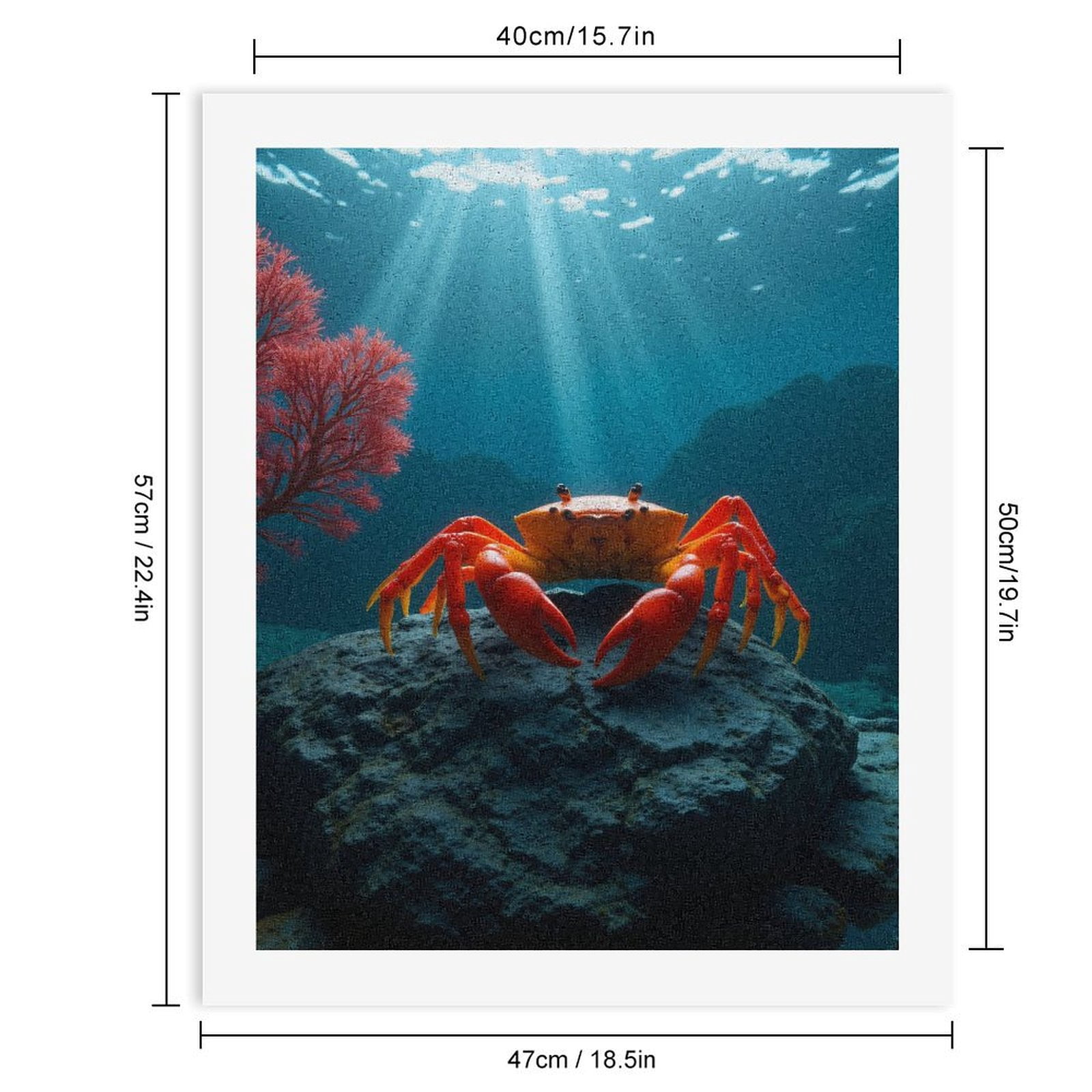 Paint By Numbers Kit for Adults Beginner - DIY Crab On Rock Ocean Scene Canvas Painting Kits for Adults, Frameless Paint By Number for Adults for Home Wall Decor 16x20 Inch