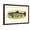 Brown Frame, variant on Art.com Eastern Brook Trout Stretched Canvas Print Wall Art, 18" x 12"