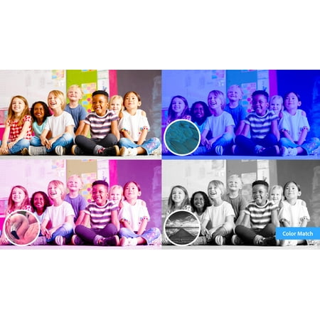 Adobe - Photoshop Elements 2024 - Windows [Digital]