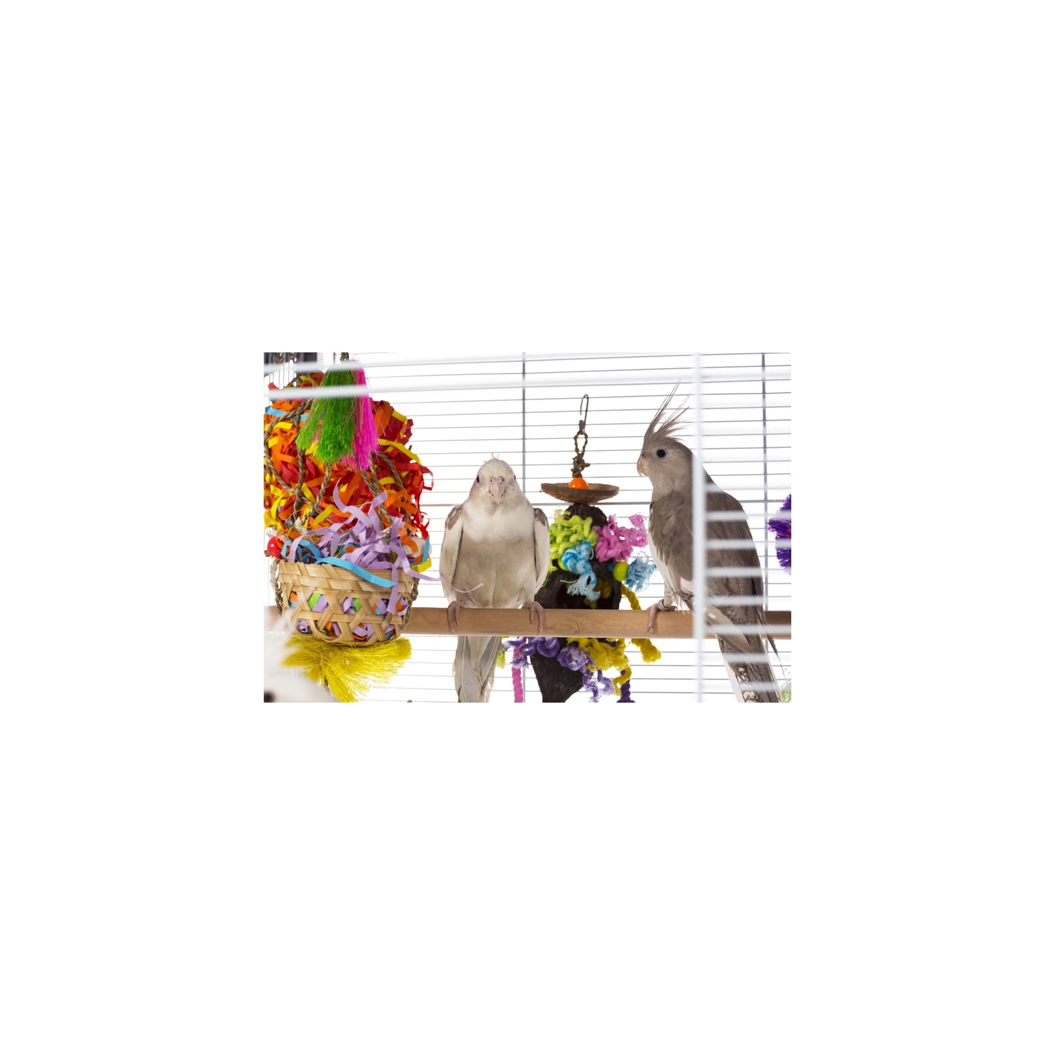 HomeStock Renaissance Romance Charming Bird Cage with Elegant Design, Intricate Details, and Spacious Interior for Birds-Color:Gray,Size:23.63"L x 23.5"W x 65.5"H