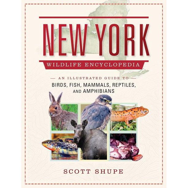 New York Wildlife Encyclopedia An Illustrated Guide to Birds, Fish