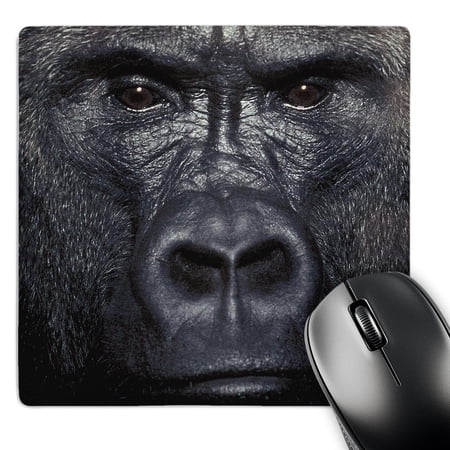 3dRose  Lowland Gorilla  MousePad price history on PriceWatchPro