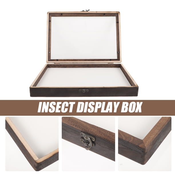 2 Boîtes Vitrine Pour Insectes En Bois - 10x10x4,5 Cm - Pour Collection, Exposition Ou Décoration