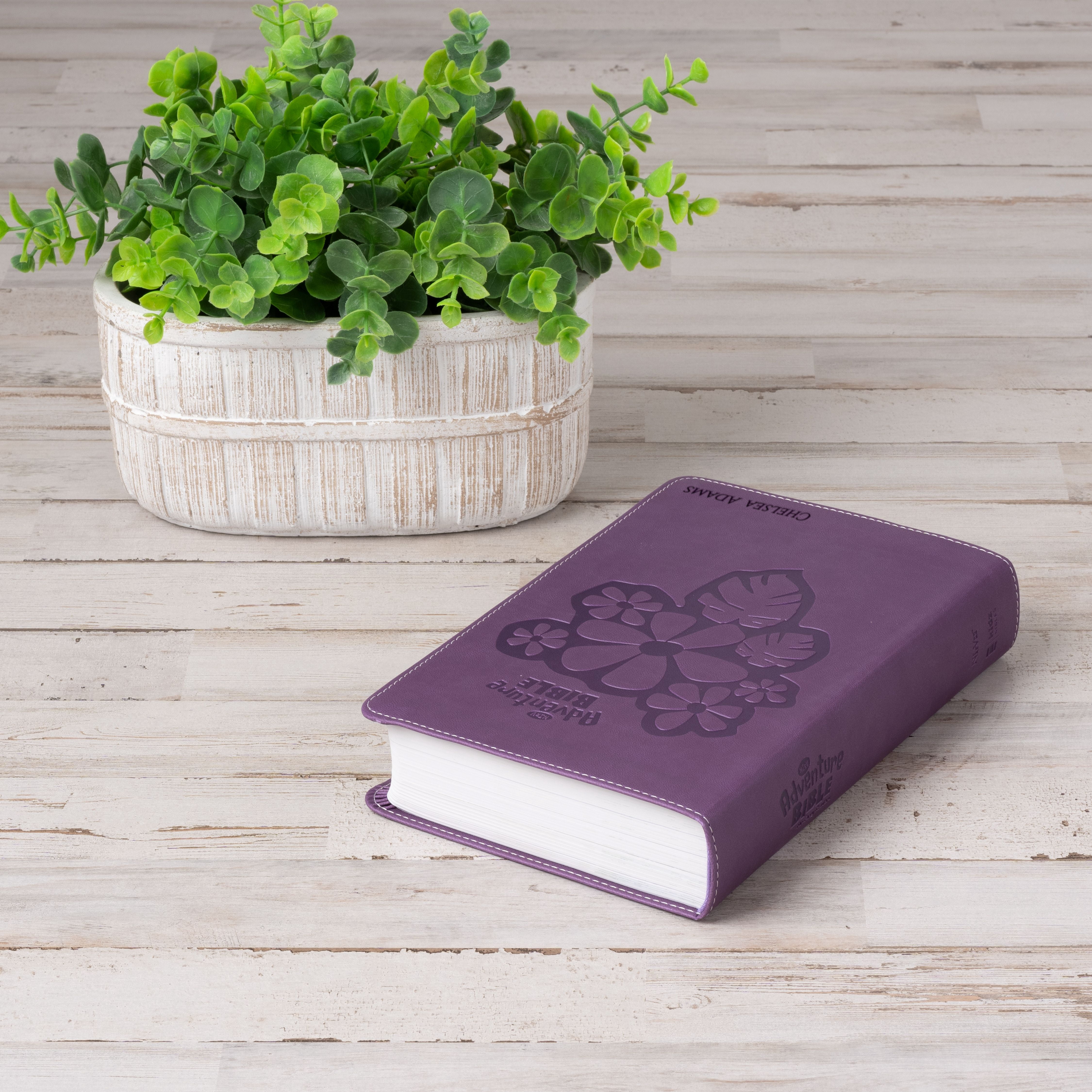 Personalized Adventure Bible for Youth, NIrV Youth's Bible with Name Engraved, Early Readers Custom Bible, Christian gifts, Baptism gift