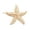 Gold, variant on Seashell Pearl Hairpins Side Headwear Styling Tools Accessories Beach Barrettes
