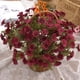 thumbnail image 1 of Ramo de crisantemos artificiales, orquídea, flor pequeña artificial, decoración para bodas y hogar, crisantemo saltarín de seda, ramo de crisantemos artificiales, aspecto fresco, orquídea, 1 of 9