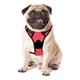 thumbnail image 2 of Arnes Para Perros De Raza Chica. Pechera Talla Chica, 2 of 8