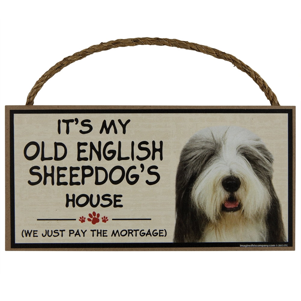 s is for sheepdog