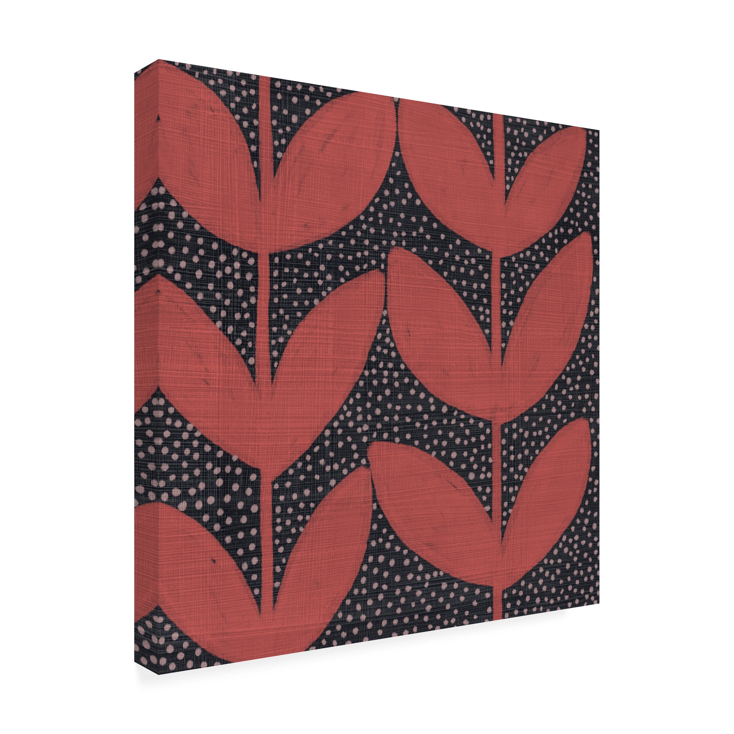 Chariklia Zarris 'Pawpaw IV' Canvas Art