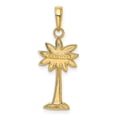 thumbnail image 3 of 14K Yellow Gold Charm Pendant Men'S Polished And Textured 2-D Palmetto Palm Tree, 3 of 4