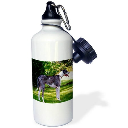 

3dRose Blue Merle Sports Water Bottle 21oz